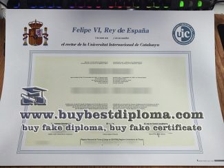 Great Tips For Making Fake Universitat Internacional De Catalunya Diploma