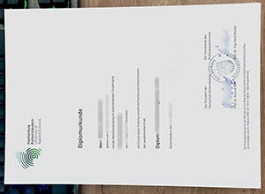 Hochschule Kaiserslautern urkunde, Hochschule Kaiserslautern diplom, fake Kaiserslautern University certificate,