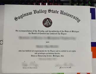 SVSU degree