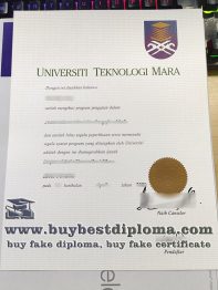 What's The Difference between Fake UiTM Degree and Diploma