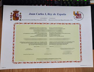 Universidad Miguel Hernández certificate